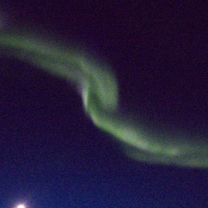 stangnwt